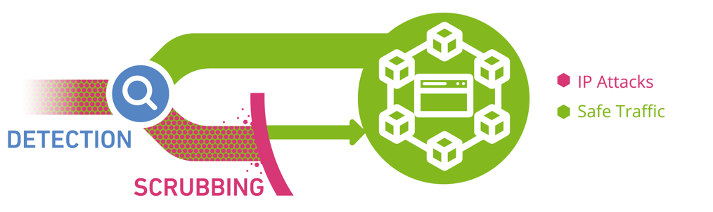 DDoS Protection Scrubbing